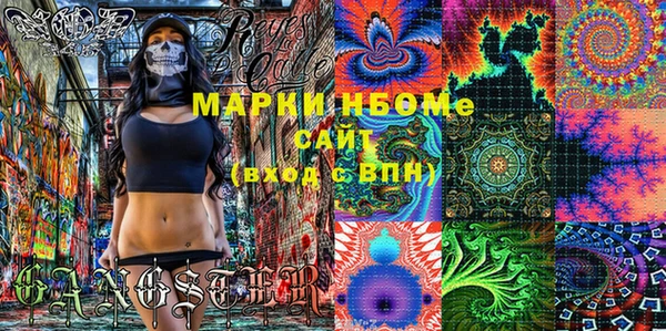 шишки Белоозёрский