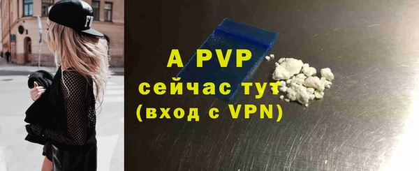 spice Белокуриха