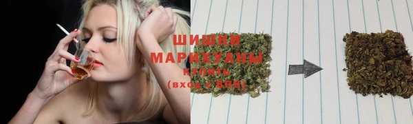 шишки Белоозёрский