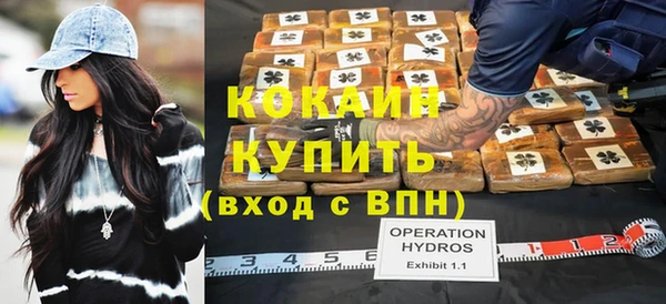 шишки Белоозёрский