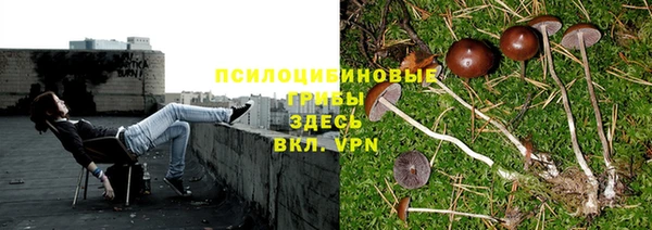 бошки Беломорск