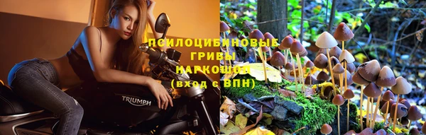 spice Белокуриха