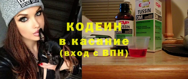 шишки Белоозёрский