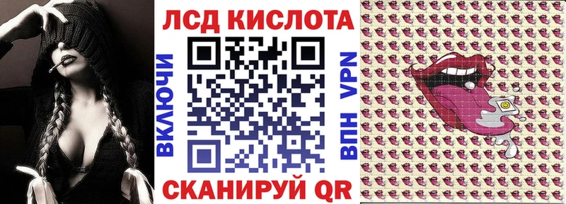продажа наркотиков  Елизово  Марки 25I-NBOMe 1,8мг 